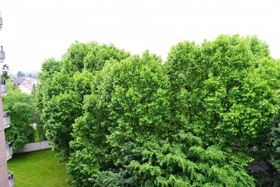 Ausblick Etagenwohnung K�ln